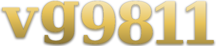 vg9811 โลโก้